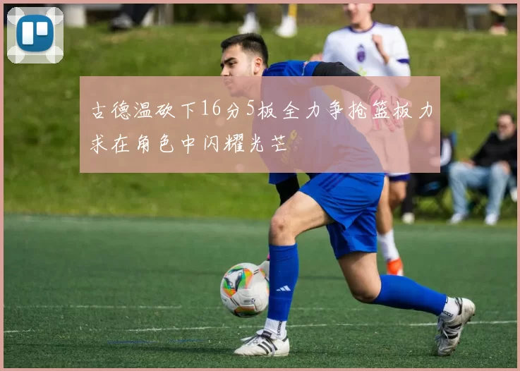 古德温砍下16分5板全力争抢篮板力求在角色中闪耀光芒