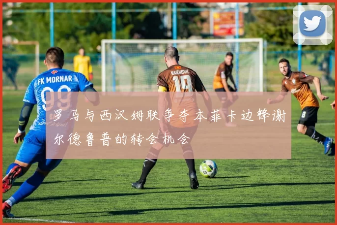 罗马与西汉姆联争夺本菲卡边锋谢尔德鲁普的转会机会