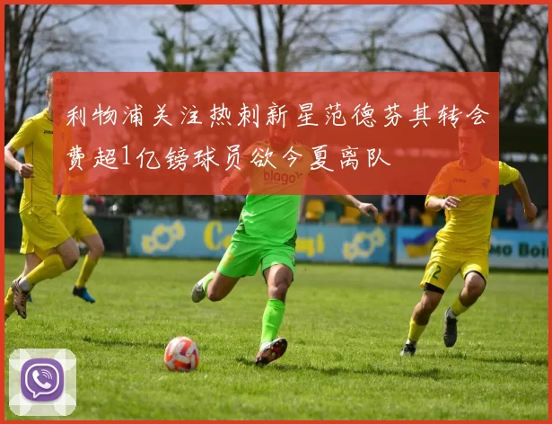 利物浦关注热刺新星范德芬其转会费超1亿镑球员欲今夏离队