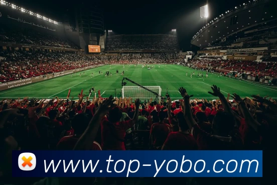 App Interface Preview