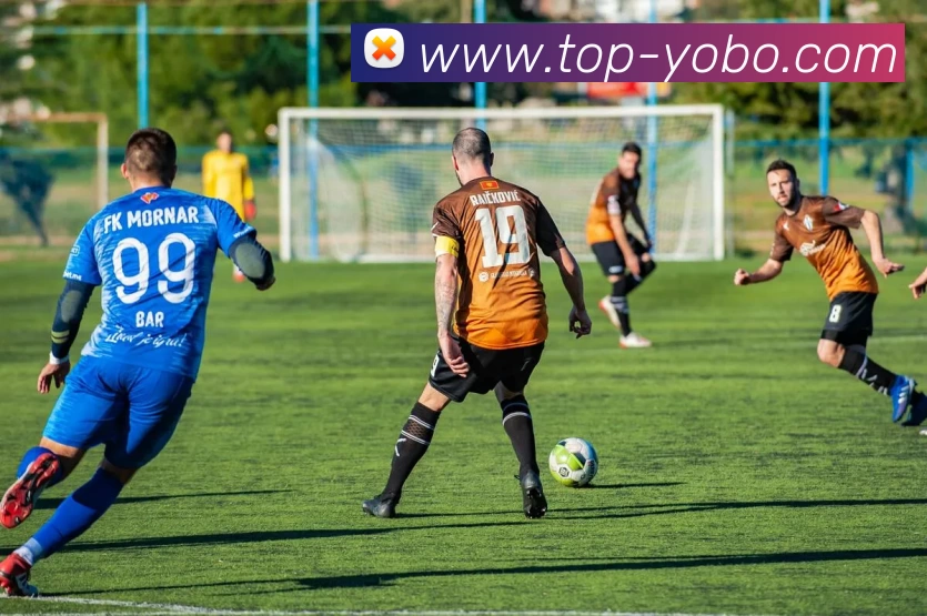 友博体育APP 封面图